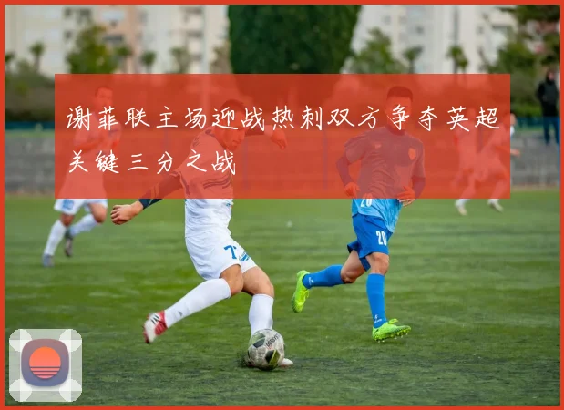 谢菲联主场迎战热刺双方争夺英超关键三分之战