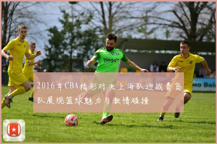 2016年CBA精彩对决上海队迎战青岛队展现篮球魅力与激情碰撞
