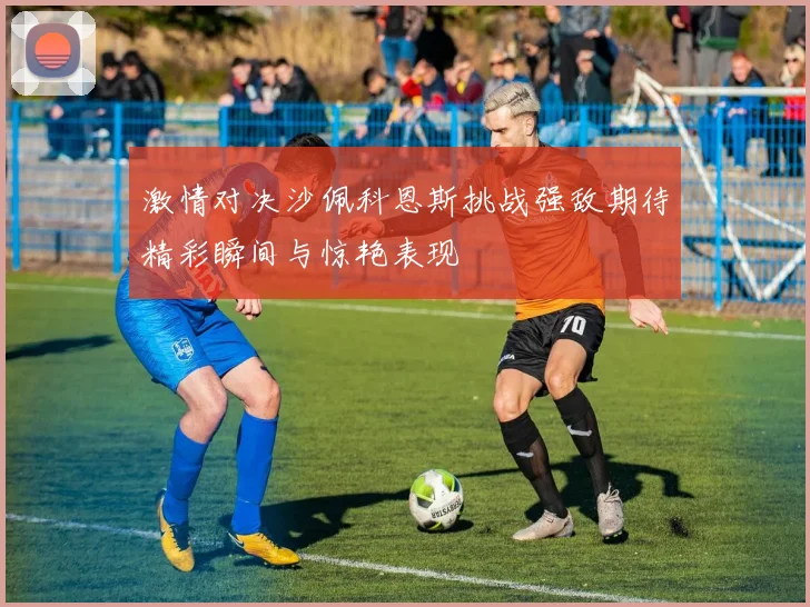 激情对决沙佩科恩斯挑战强敌期待精彩瞬间与惊艳表现
